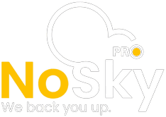 Nosky Backup Pro